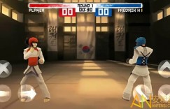 大发娱乐跆拳道游戏全新上线：巅峰格斗，燃爆你的竞技灵魂