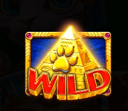 【扑克之星】埃及神猫：探寻古埃及的未解之谜